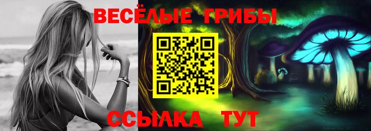 Магадан  Псилоцибиновые грибы GOLDEN TEACHER  Вход с VPN 