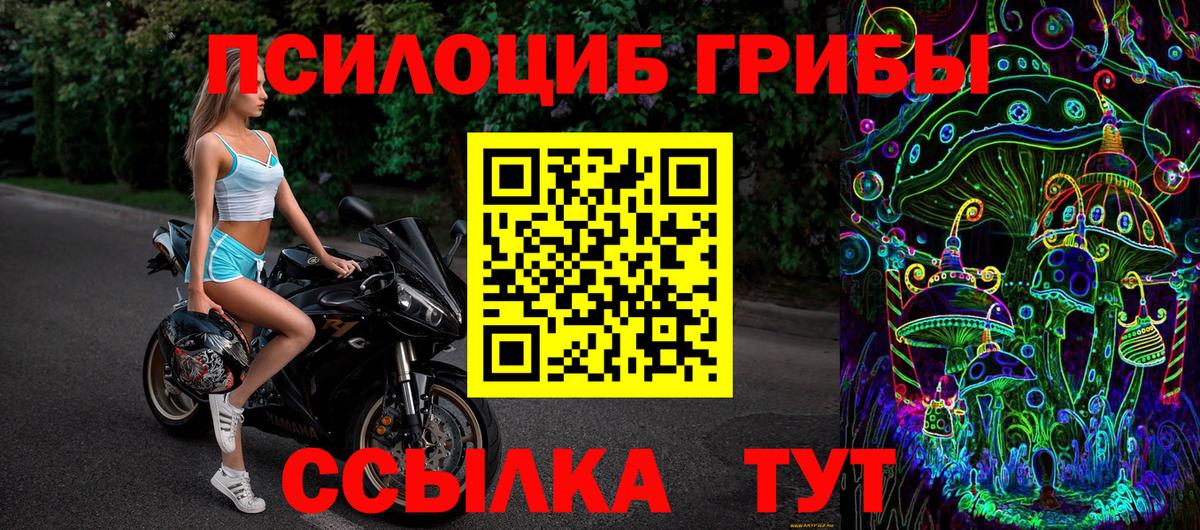 Псилоцибиновые грибы GOLDEN TEACHER Магадан